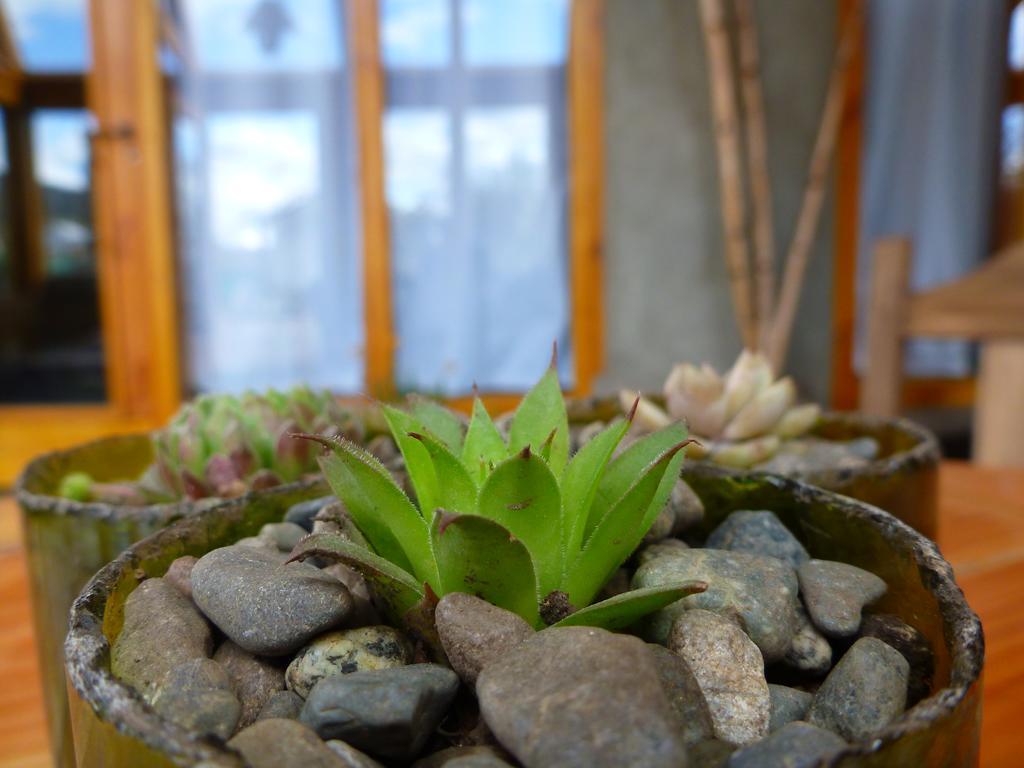 Earthship Patagonia Eco Accommodations เอลโบลซอน ภายนอก รูปภาพ