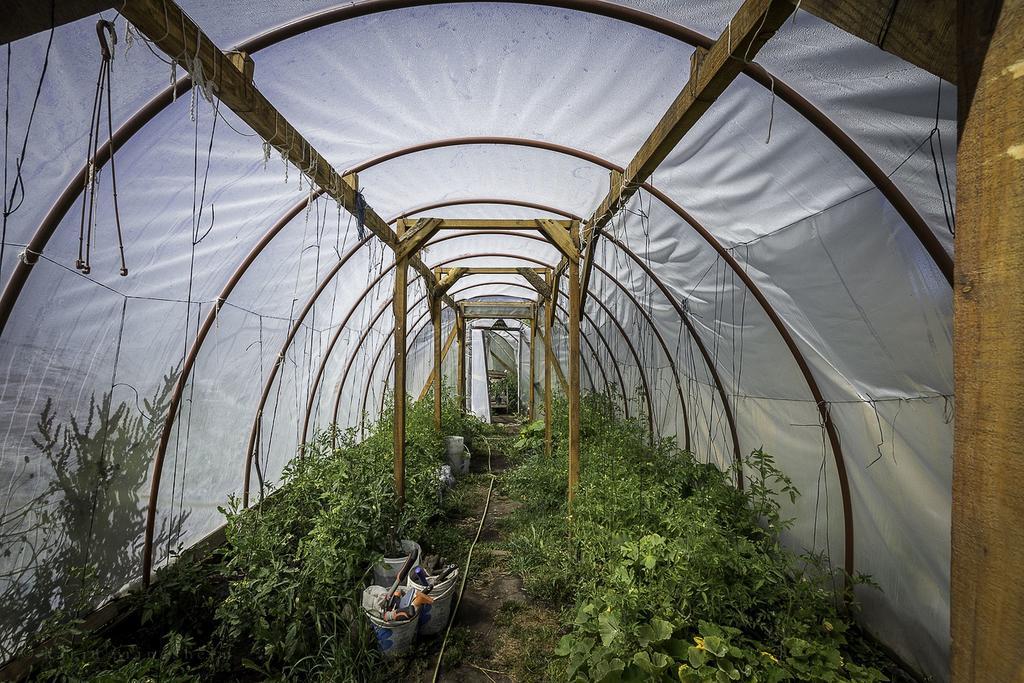 Earthship Patagonia Eco Accommodations เอลโบลซอน ภายนอก รูปภาพ