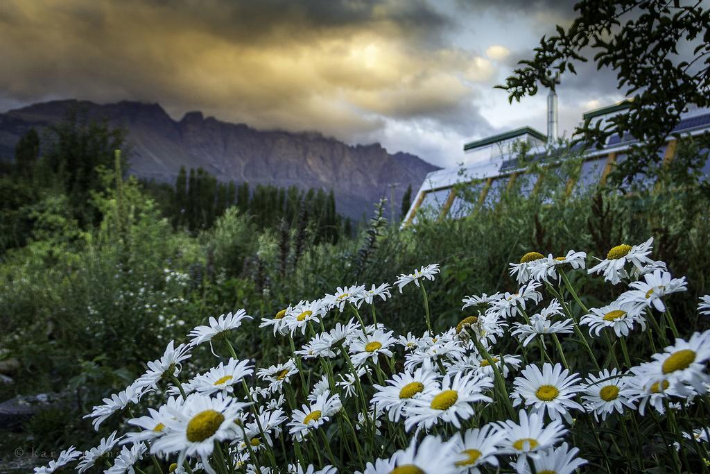 Earthship Patagonia Eco Accommodations เอลโบลซอน ภายนอก รูปภาพ